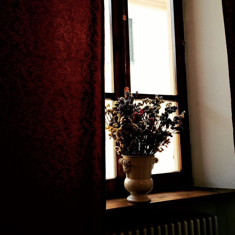 La Stagione Dell'Arte Daire Camaiore Oda fotoğraf